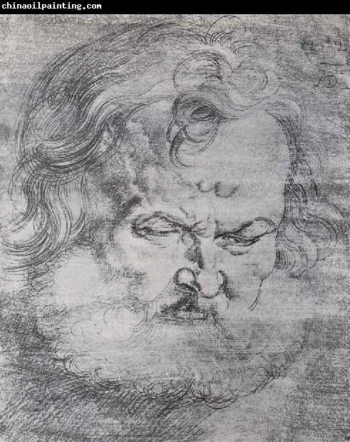 Albrecht Durer Head of St.Peter