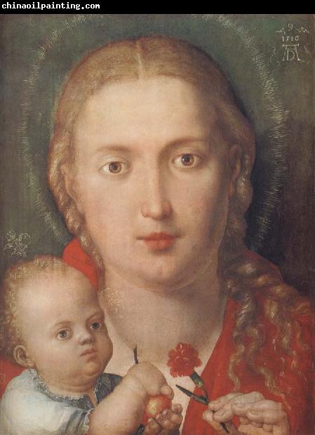 Albrecht Durer The Madonna with a Carna-tion