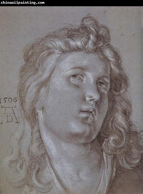 Albrecht Durer Head of an  angel