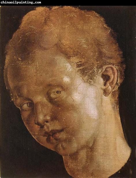 Albrecht Durer Head of a boy facing toward the left