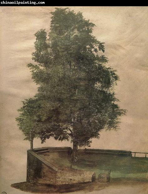 Albrecht Durer Linden Tree on a Bastion