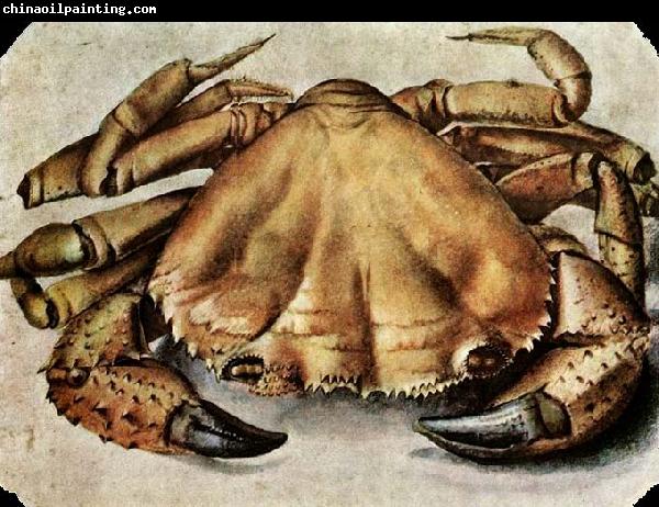 Albrecht Durer Lobster