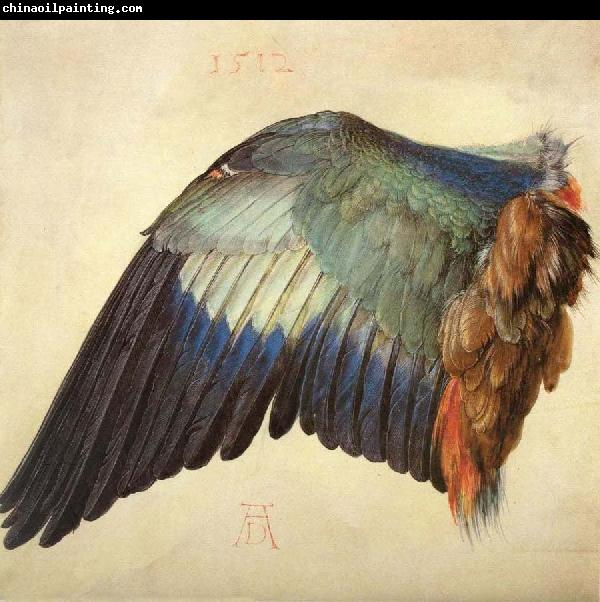 Albrecht Durer Wing of a Blue Roller