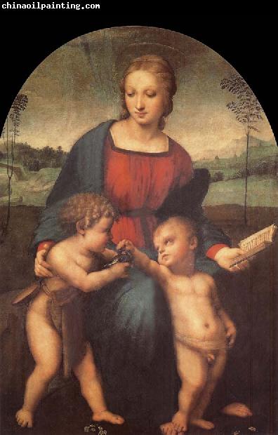 Aragon jose Rafael The Madonna of the goldfinch