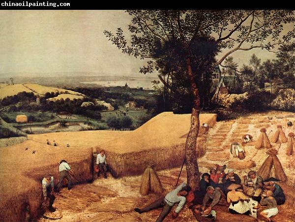 BRUEGEL, Pieter the Elder The Harvesters