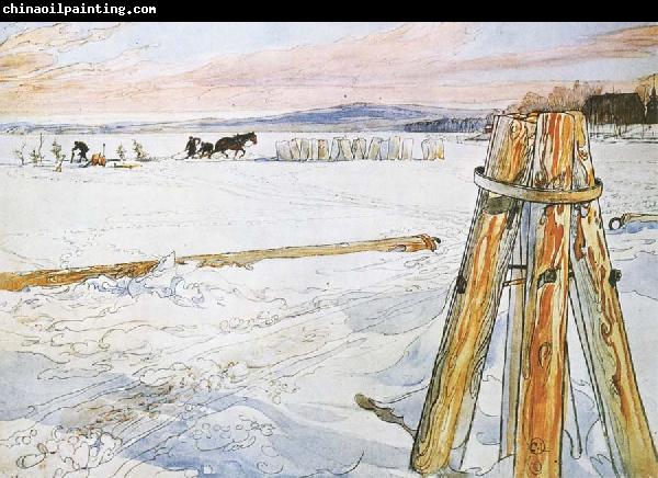 Carl Larsson Harverstion Ice