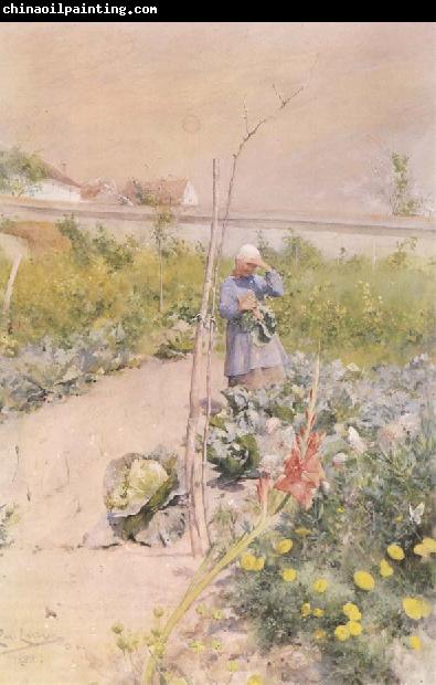 Carl Larsson In the Kitchen Garden