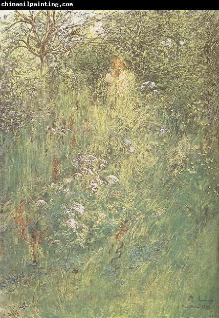 Carl Larsson in the Hawthorn Hedge