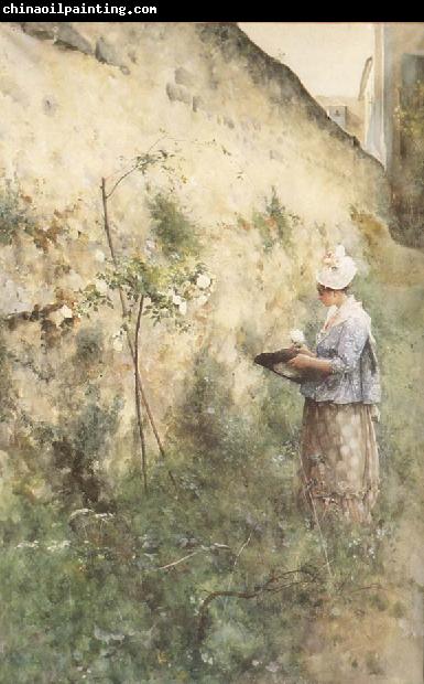 Carl Larsson The Old Wall