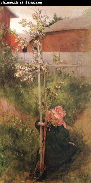 Carl Larsson Apple Blossoms