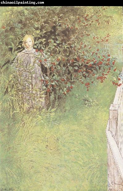 Carl Larsson A Fairy