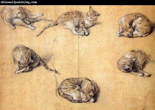 GAINSBOROUGH, Thomas Six studies of a cat