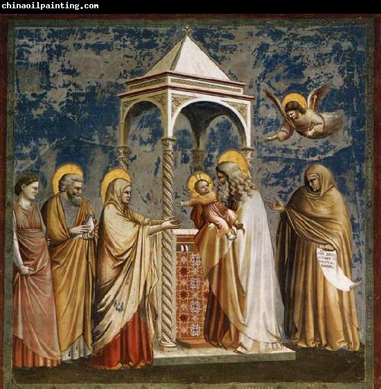 GIOTTO di Bondone Presentation of Christ at the Temple