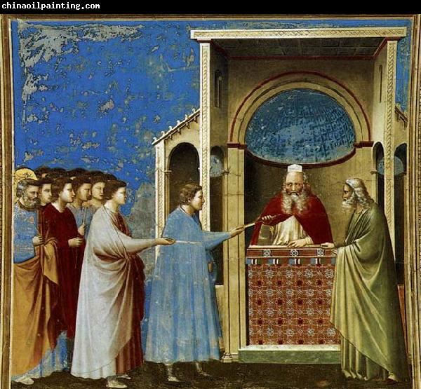 GIOTTO di Bondone The Bringing of the Rods to the Temple