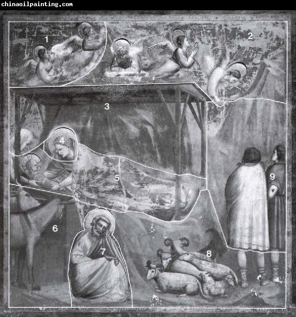 GIOTTO di Bondone The birth, with the giornate indicated