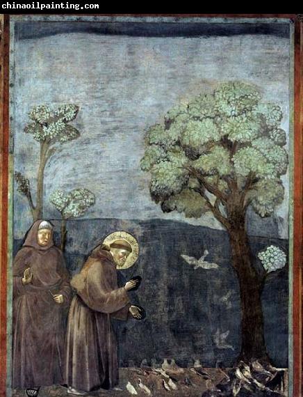 GIOTTO di Bondone Sermon to the Birds