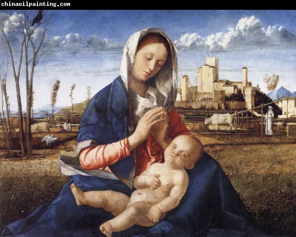 Gentile Bellini The Madonna of the Meadow