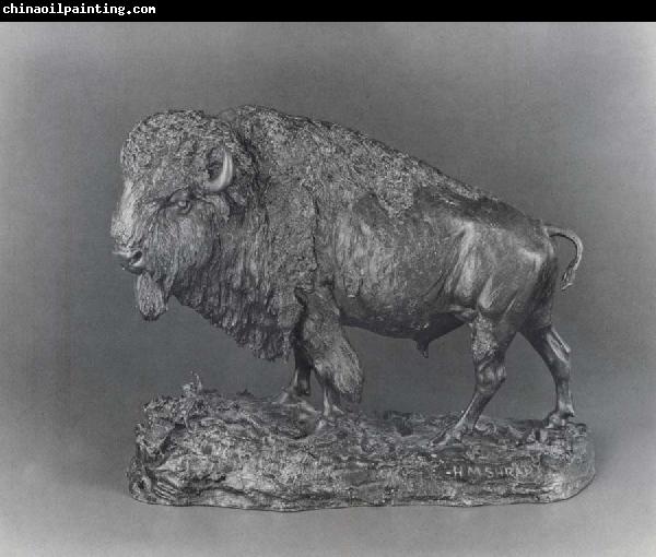 Henry Merwin Shrady Buffalo