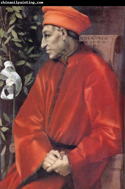 Jacopo Pontormo Cosimo de Medici the Elder