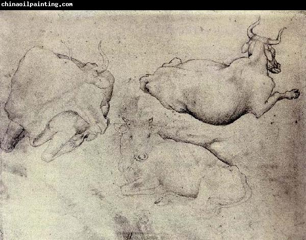 PISANELLO Three Cows