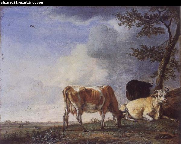 POTTER, Paulus Three Cows in a Pasture