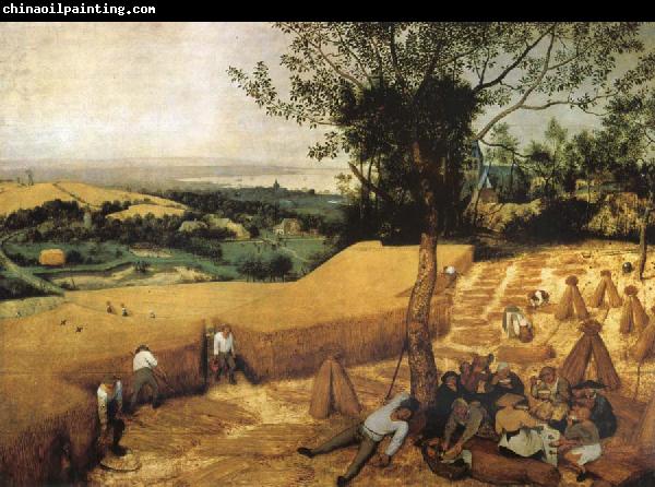 Pieter Bruegel The harvest