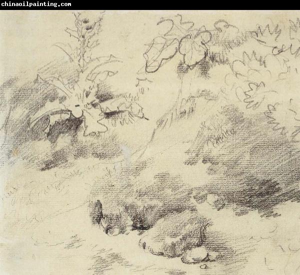 Thomas Gainsborough Study for a Foreground,a Bank with Weeds and Thistles