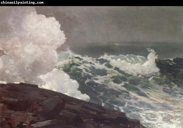 Winslow Homer Northeaster