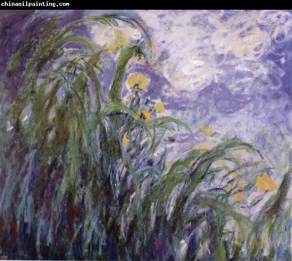 Claude Monet Yellow Irises