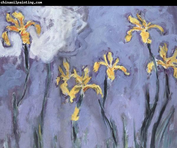 Claude Monet Yellow Irises with Pink Cloud