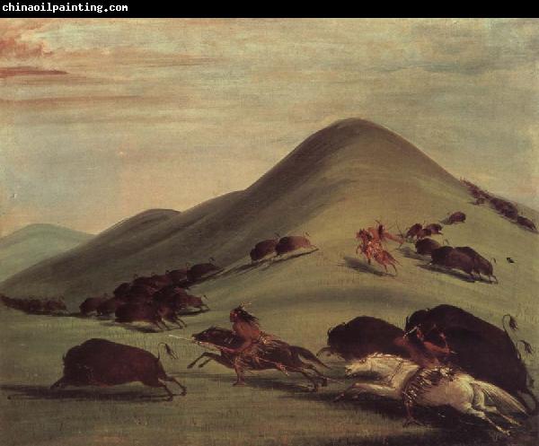 George Catlin Buffalo Chase Over Prairie bark