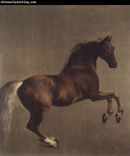 George Stubbs Whistlejacket