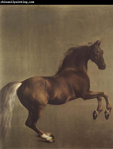 George Stubbs Whistlejacket