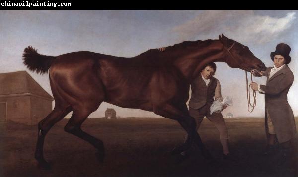 George Stubbs Hambletonian, Rubbing Down