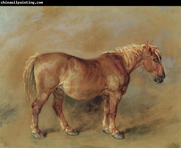 James Ward A Suffolk Punch