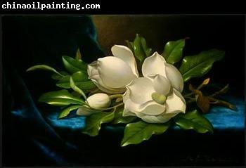 unknow artist Still life floral, all kinds of reality flowers oil painting  65