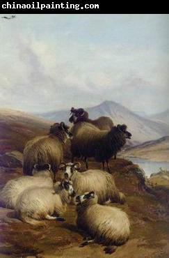 unknow artist Sheep 192