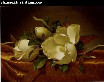 unknow artist Still life floral, all kinds of reality flowers oil painting 25