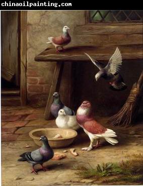 unknow artist Pigeons 194