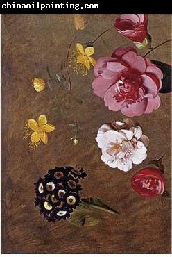 unknow artist Floral, beautiful classical still life of flowers.032