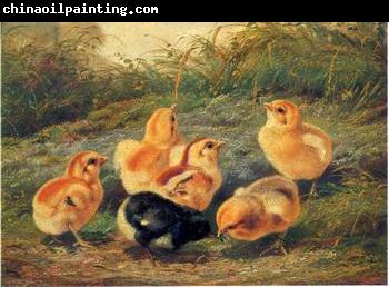 unknow artist chickens 196