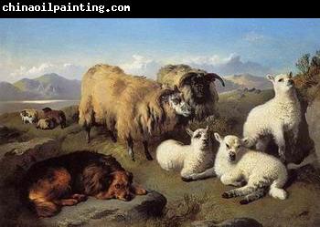 unknow artist Sheep 191