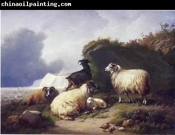 unknow artist Sheep 157