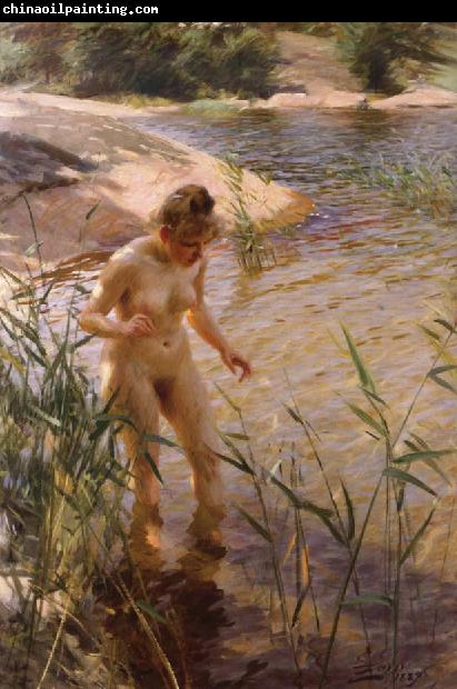 Anders Zorn Reflex