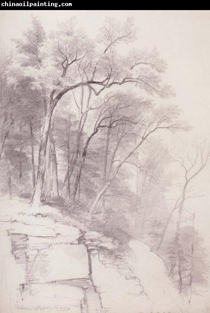 Asher Brown Durand Study of Trees and Rocks,kaaterskill Clove