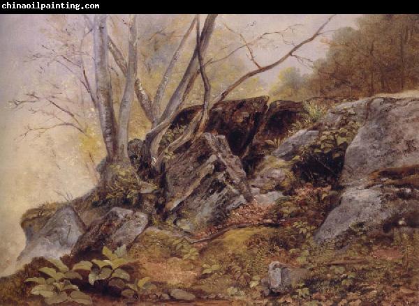 Asher Brown Durand Study from Nature,Bronxville