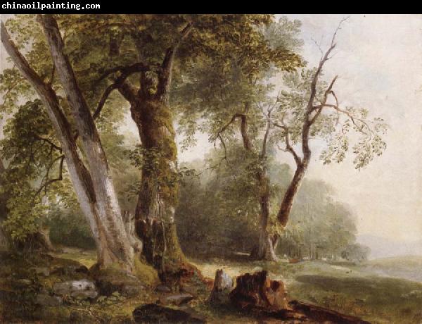 Asher Brown Durand Landscape with Beech Tree