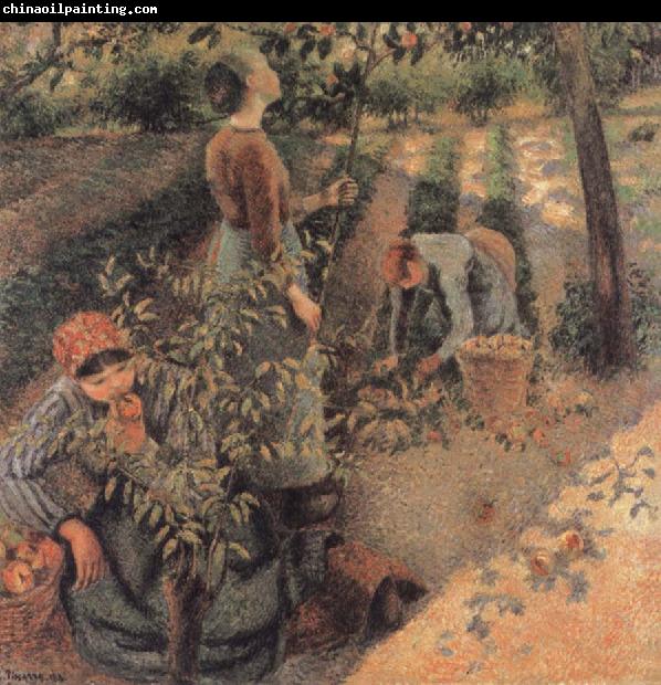 Camille Pissarro The Apple Pickers