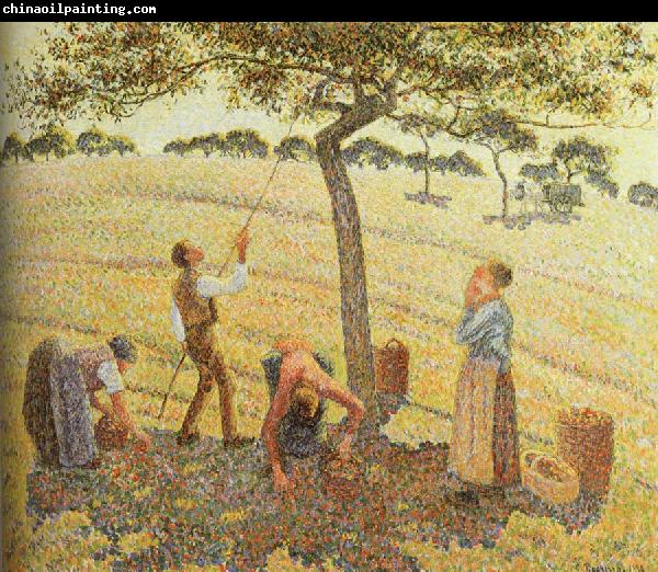 Camille Pissarro Pick  Apples