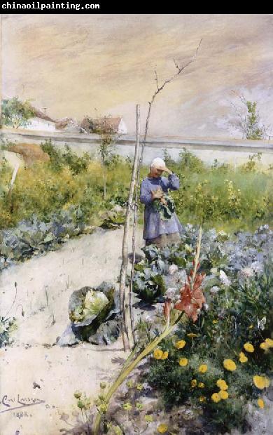 Carl Larsson IN Kokstradgarden